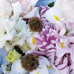 Букет для весов: осенние цветы пастельных оттенков - Фотография 5