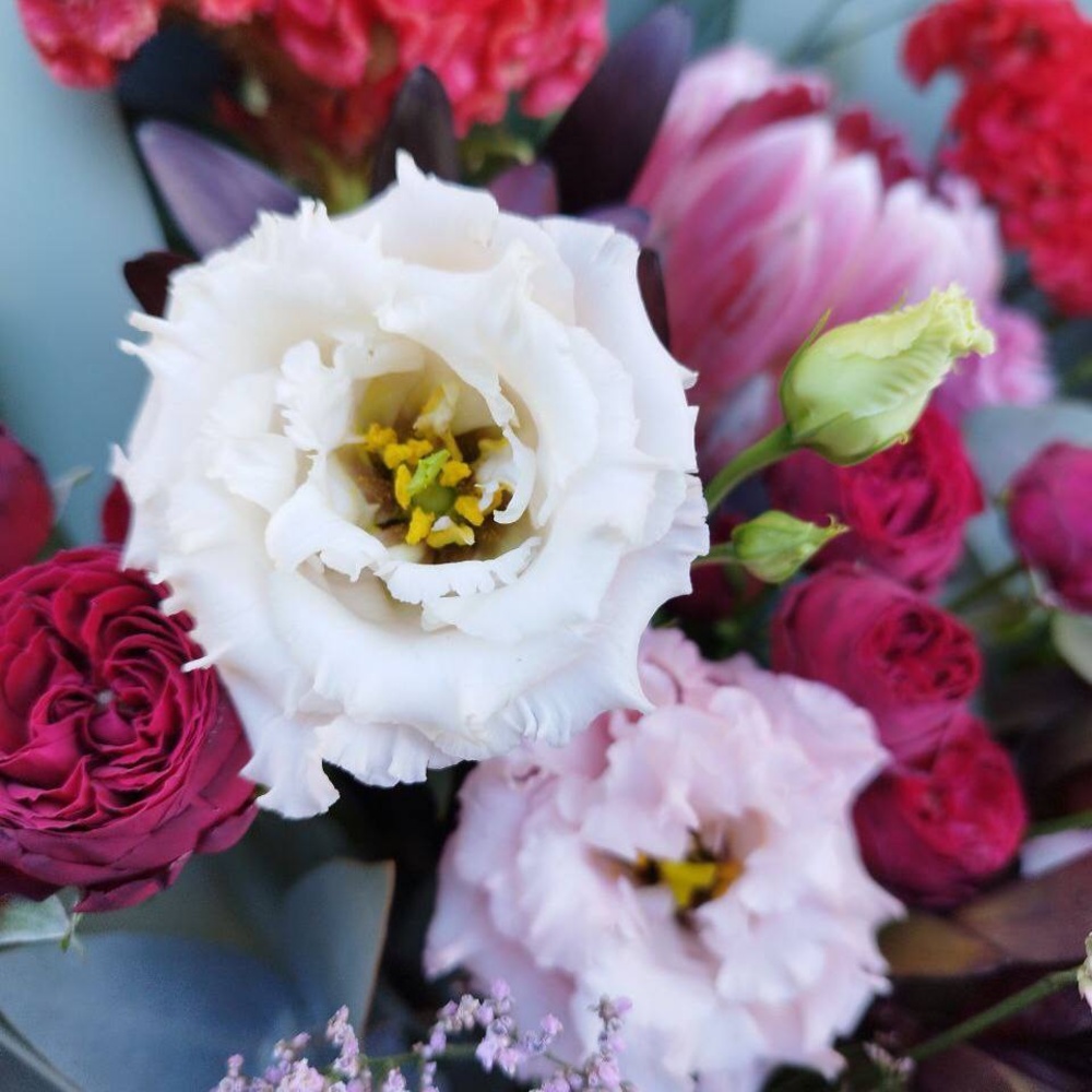 Букет для скорпиона: протея Бренда, лист стрелиции, целлозия + аквабокс и коробка-переноска