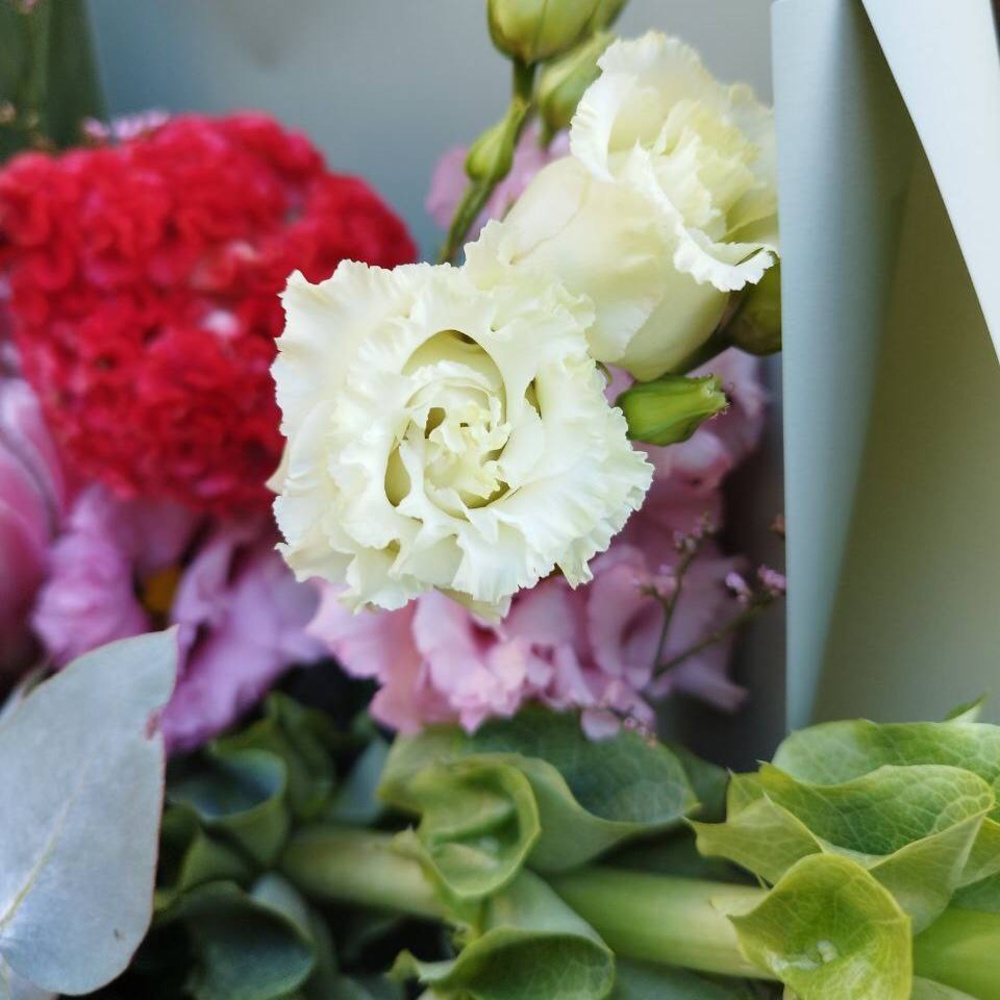 Букет для скорпиона: протея Бренда, лист стрелиции, целлозия + аквабокс и коробка-переноска