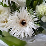 Гринвуд: белоснежные герберы, лилия и другие цветы в Санкт-Петербурге - Фотография 9 Гринвуд: белоснежные герберы, лилия и другие цветы в Санкт-Петербурге - Фотография 9