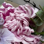 Тающий день: нежный букет с сезонными цветами в Санкт-Петербурге - Фотография 2