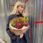 Дуновение осени: гортензия и сортовые хризантемы в Санкт-Петербурге - Фотография 1