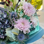 Лукавство непогоды: гортензия, экзотический эрингиум и другие цветы в Санкт-Петербурге - Фотография 3