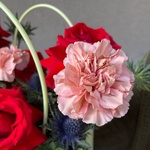 Пунцовые качели: эффектная роза, колючки и другие цветы с доставкой по СПб - Фотография 6