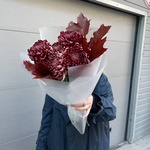 Ночная мгла: сортовая хризантема и листья дуба в Санкт-Петербурге - Фотография 1