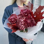 Ночная мгла: сортовая хризантема и листья дуба в Санкт-Петербурге - Фотография 2