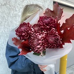 Ночная мгла: сортовая хризантема и листья дуба в Санкт-Петербурге - Фотография 4