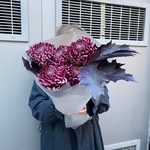 Пурпур заката: сортовая хризантема и листья дуба в Санкт-Петербурге - Фотография 1