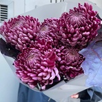 Пурпур заката: сортовая хризантема и листья дуба в Санкт-Петербурге - Фотография 2