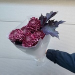 Пурпур заката: сортовая хризантема и листья дуба в Санкт-Петербурге - Фотография 4