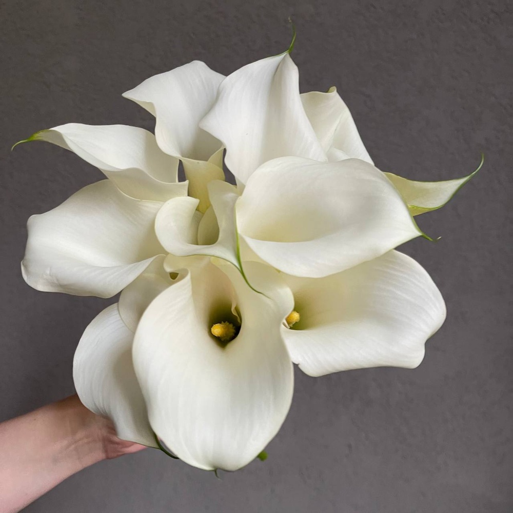 Жакотте: свадебный букет из белых калл 