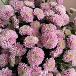 Ночной звездопад: букет из стойких хризантем в Санкт-Петербурге - Фотография 4