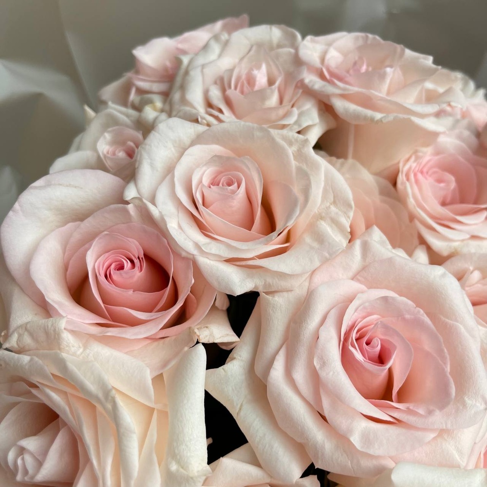 Пинк Муд: букет из 35 розовых роз