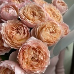 Огни святого Эльма: букет из пионовидной розы в Санкт-Петербурге - Фотография 4