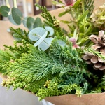 Хвойный лес: еловые ветки и другие цветы в Санкт-Петербурге - Фотография 7