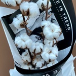 Хлопок в стильной упаковке с доставкой по СПб и Лен обл - Фотография 6