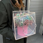 Космостар: разноцветная гипсофила в коробке в Санкт-Петербурге - Фотография 6