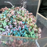 Космостар: разноцветная гипсофила в коробке в Санкт-Петербурге - Фотография 3