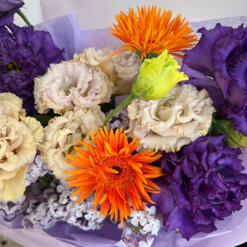 Туса джуса движ Париж