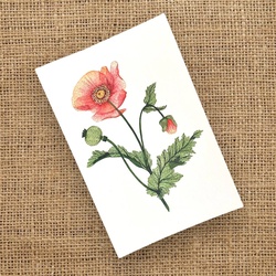 Букет «Открытка «Поле: Мак» / 10х15 см / PrintMyFlowers 50122»