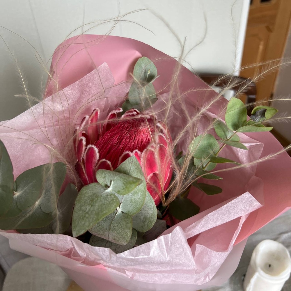 Лапки и усики: экзотическая протея с сухоцветами