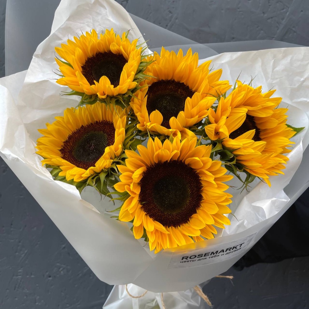 Теплое лето в букете: 5 подсолнухов в упаковке с аквабоксом и переноской