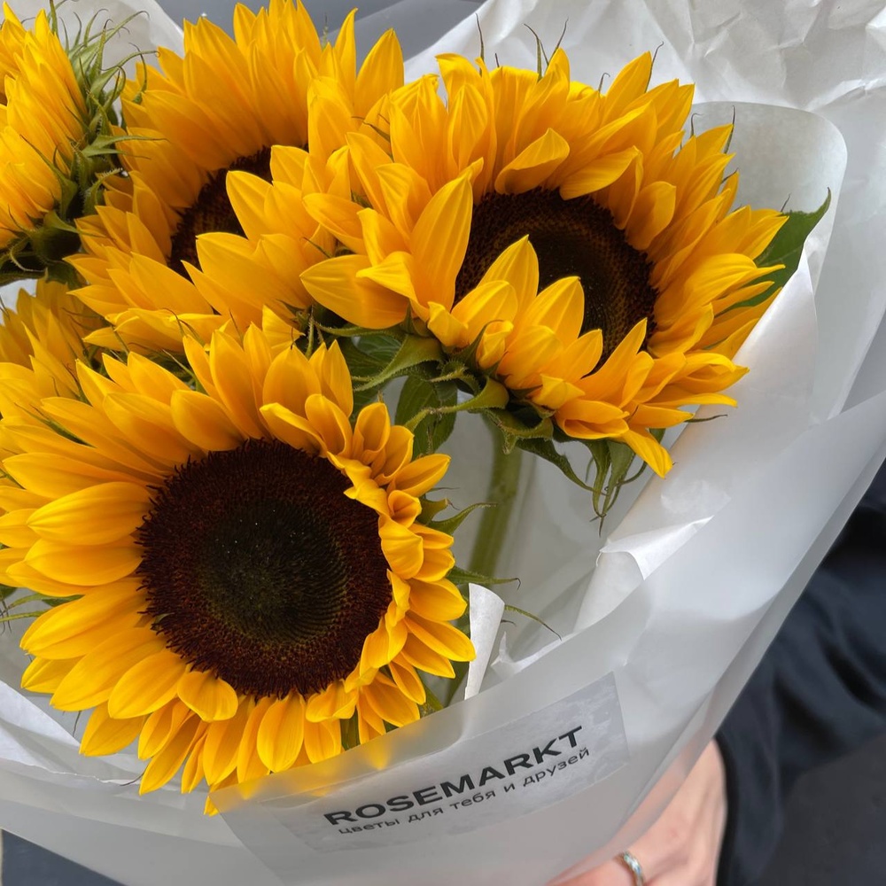 Теплое лето в букете: 5 подсолнухов в упаковке с аквабоксом и переноской