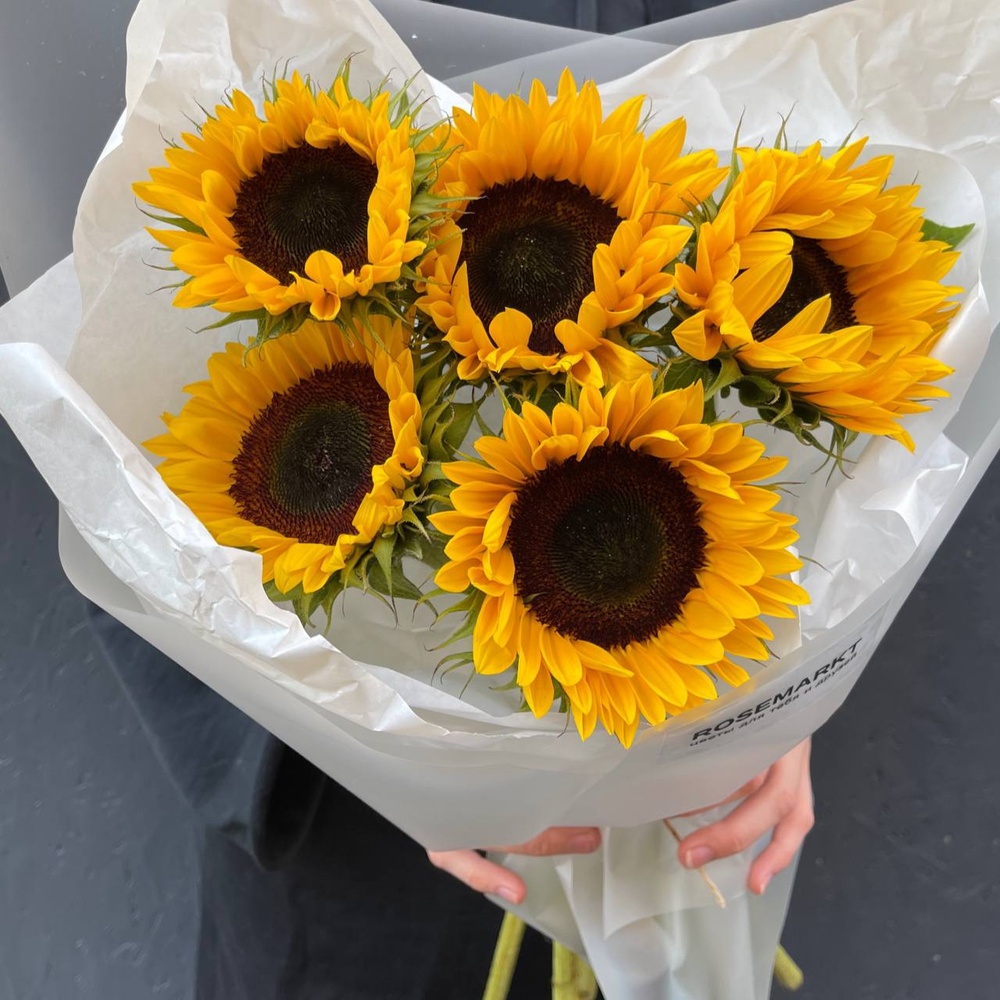 Теплое лето в букете: 5 подсолнухов в упаковке с аквабоксом и переноской