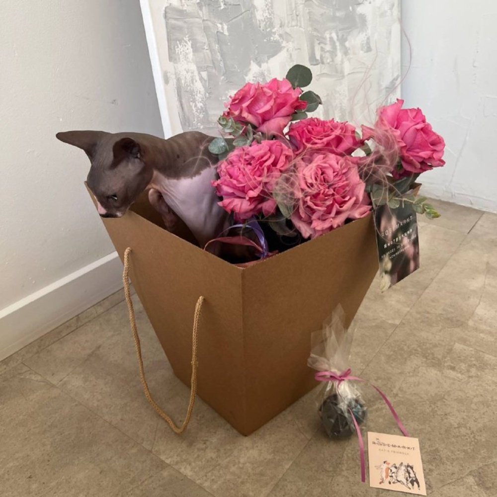 Твоей киске: стойкая пионовидная роза в шляпной коробке