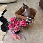 Твоей киске: пионовидные розы в шляпной коробке - Фотография 8 Твоей киске: пионовидные розы в шляпной коробке - Фотография 8