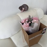 Висськась: букет с французскими розами в сиреневой гамме - Фотография 3 Висськась: букет с французскими розами в сиреневой гамме - Фотография 3