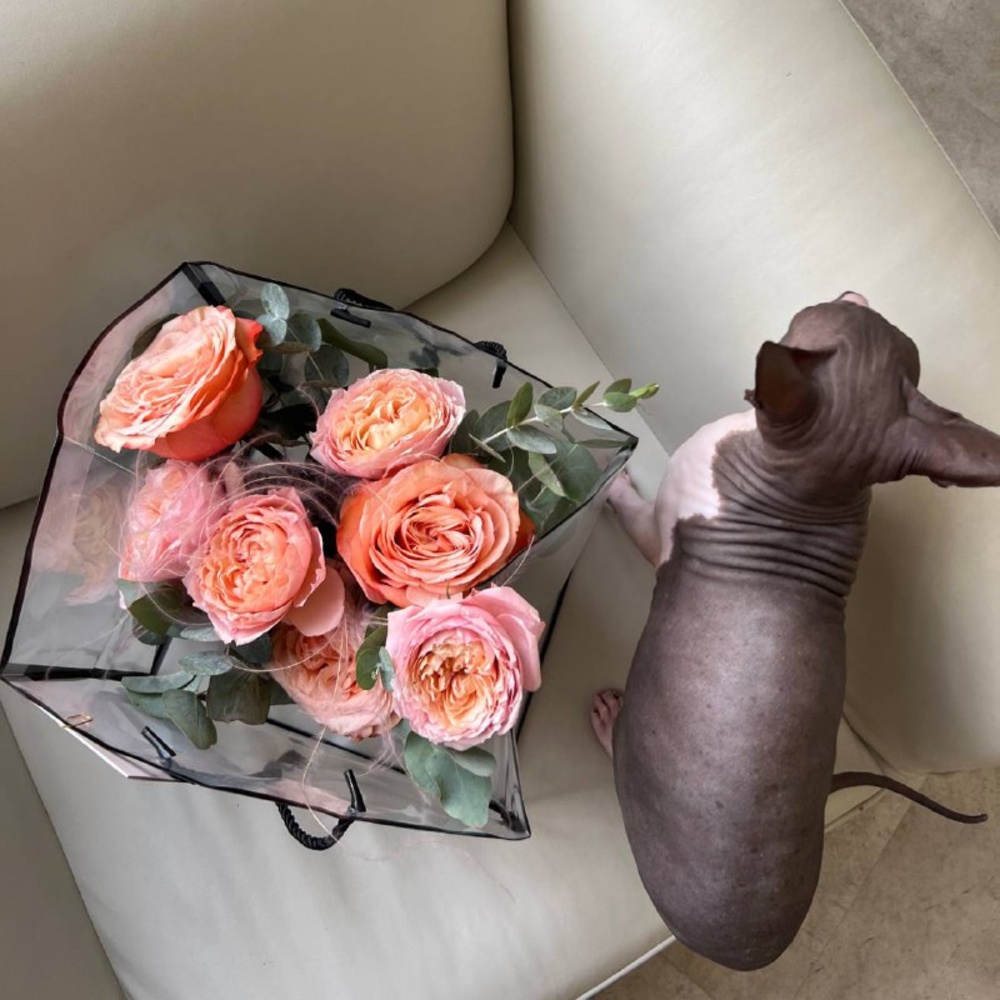 Персиковая Софи: композиция в кашпо ручной работы с пионовидными розами 