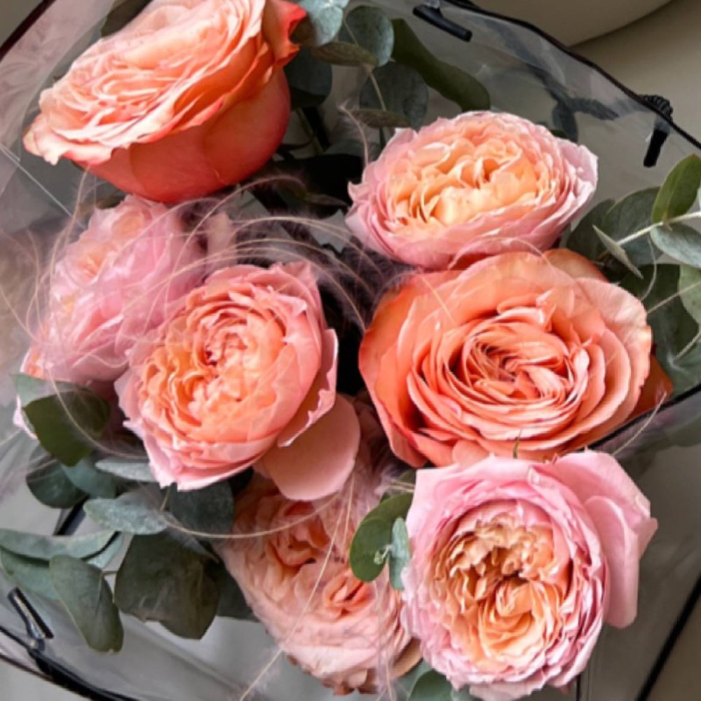 Персиковая Софи: композиция в кашпо ручной работы с пионовидными розами 