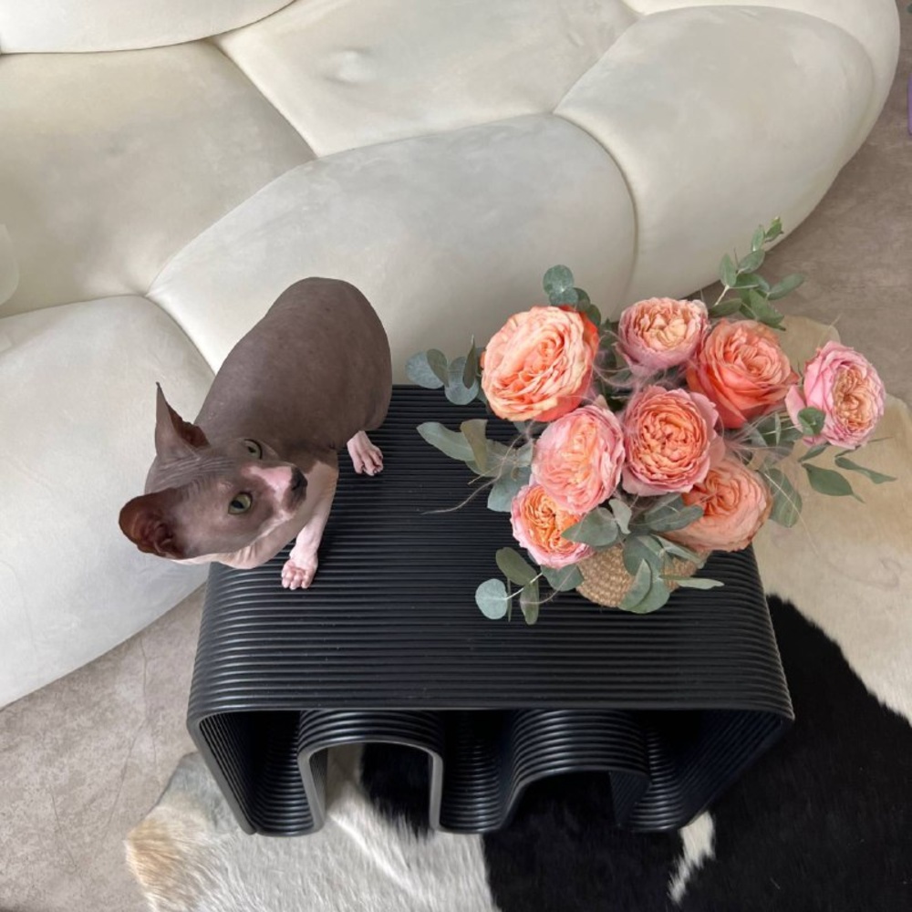 Персиковая Софи: композиция в кашпо ручной работы с пионовидными розами 