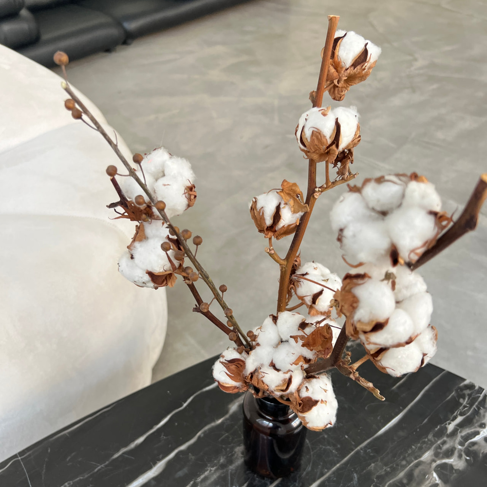 Экобокс: сухоцветы Хлопок и Лён