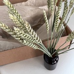 Экобокс: сухоцветы Колоски в Санкт-Петербурге - Фотография 2