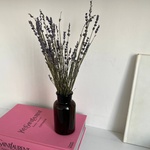 Экобокс: сухоцветы Лаванда в Санкт-Петербурге - Фотография 1