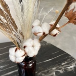 Экобокс: сухоцветы Хлопок, Амареллино, Хвоя и Мискантус в Санкт-Петербурге - Фотография 3