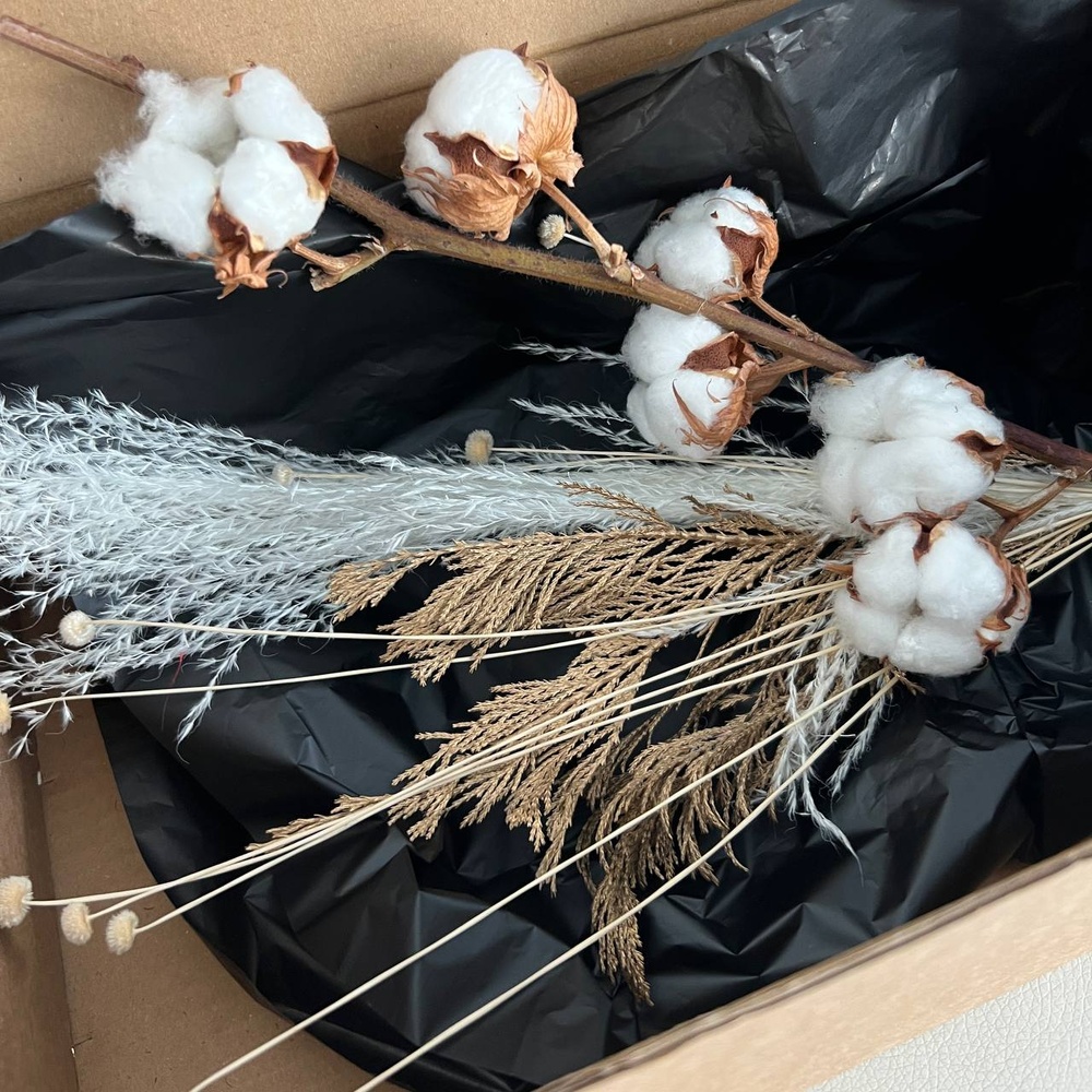 Экобокс: сухоцветы Хлопок, Амареллино, Хвоя и Мискантус