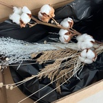 Экобокс: сухоцветы Хлопок, Амареллино, Хвоя и Мискантус в Санкт-Петербурге - Фотография 6