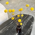 Экобокс: сухоцветы Краспедия в Санкт-Петербурге - Фотография 1