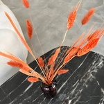 Экобокс: сухоцветы Лагурус, Бабала и Тритикум в Санкт-Петербурге - Фотография 3