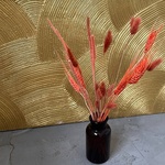 Экобокс: сухоцветы Лагурус, Бабала и Тритикум в Санкт-Петербурге - Фотография 2