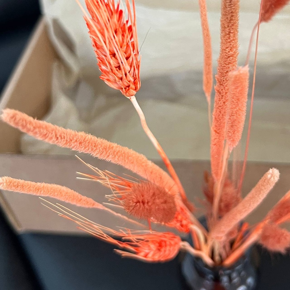 Экобокс: сухоцветы Лагурус, Бабала и Тритикум