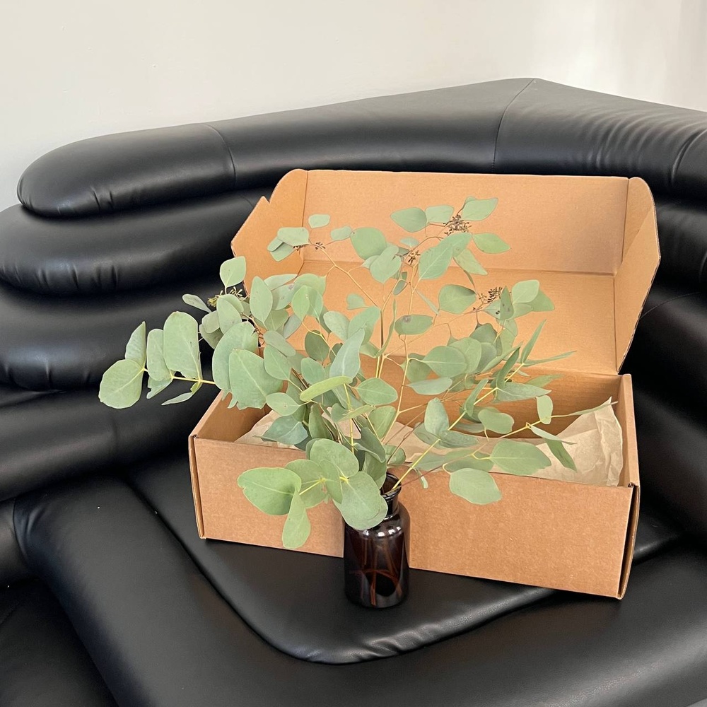 Экобокс: сухоцветы Эвкалипт