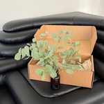 Экобокс: сухоцветы Эвкалипт в Санкт-Петербурге - Фотография 2 Экобокс: сухоцветы Эвкалипт в Санкт-Петербурге - Фотография 2