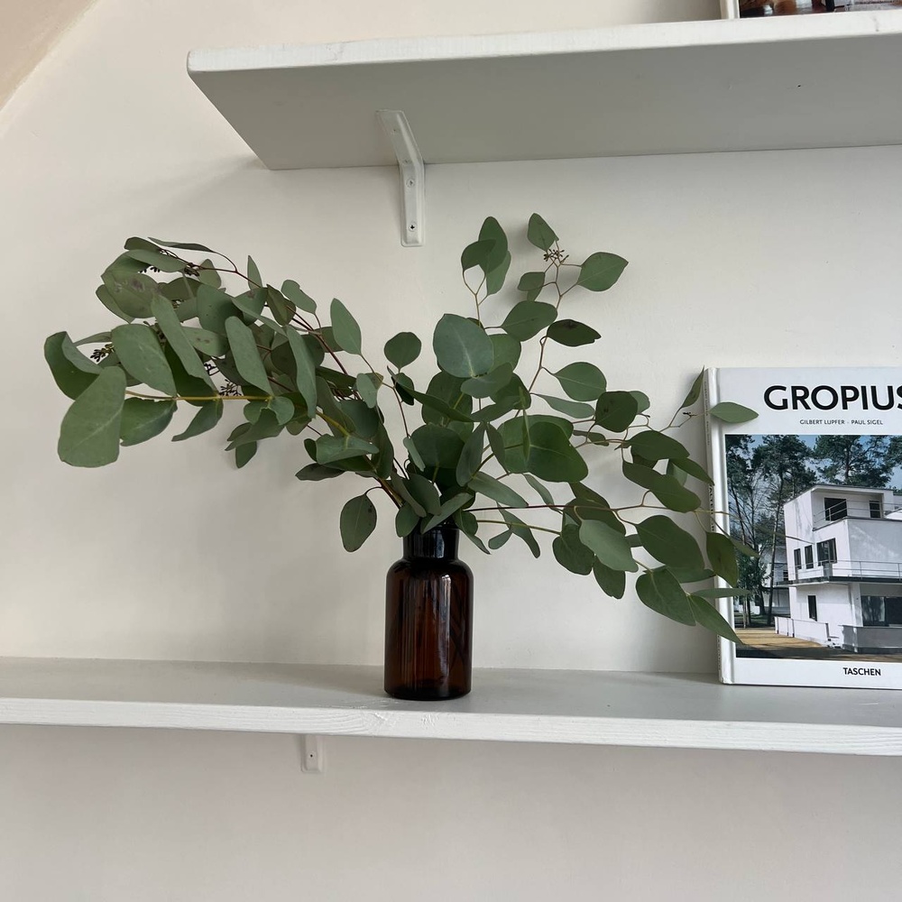 Экобокс: сухоцветы Эвкалипт в Санкт-Петербурге Экобокс: сухоцветы Эвкалипт в Санкт-Петербурге