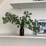 Экобокс: сухоцветы Эвкалипт в Санкт-Петербурге - Фотография 1 Экобокс: сухоцветы Эвкалипт в Санкт-Петербурге - Фотография 1