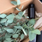 Экобокс: сухоцветы Эвкалипт в Санкт-Петербурге - Фотография 4 Экобокс: сухоцветы Эвкалипт в Санкт-Петербурге - Фотография 4