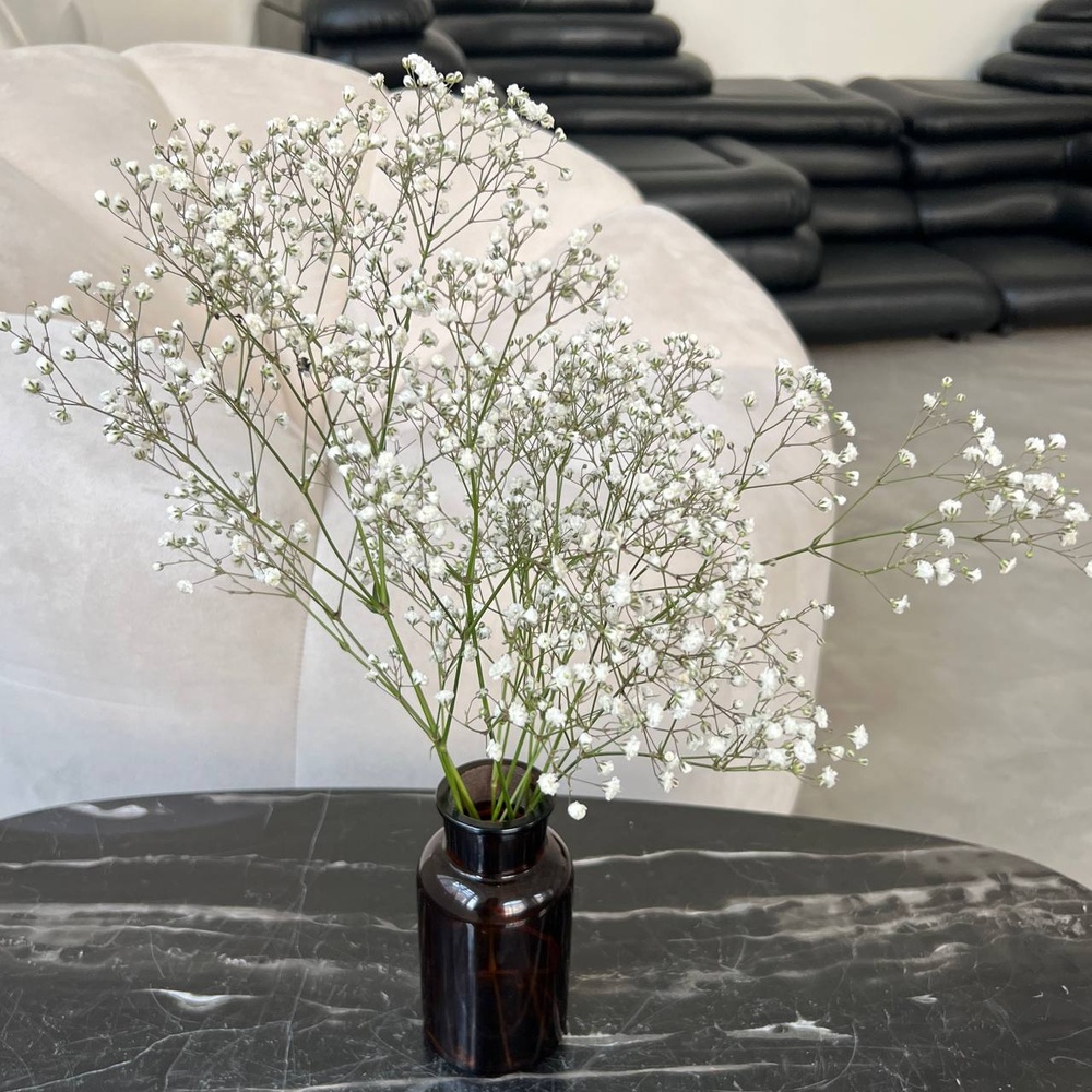 Экобокс: сухоцветы Гипсофила белая